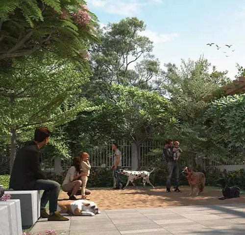 Pet Park at Ambrosia