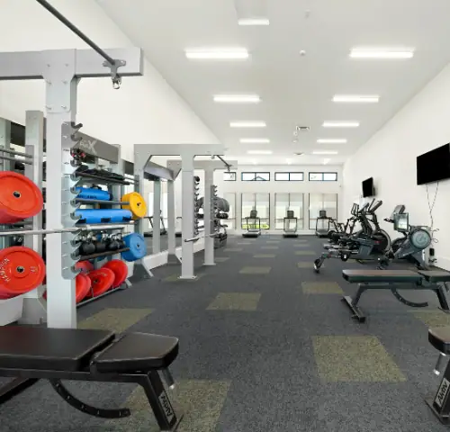 Gym at Amora