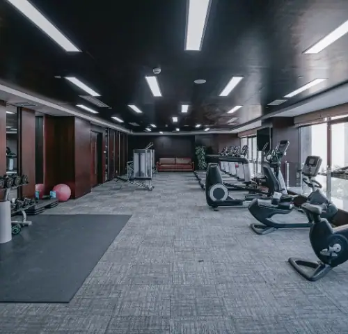 Gym at Elysium Novus