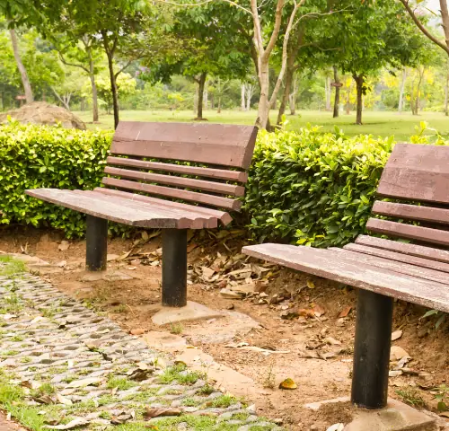 Senior Citizen Zone at Greenfield