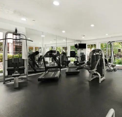 Gym at North Park