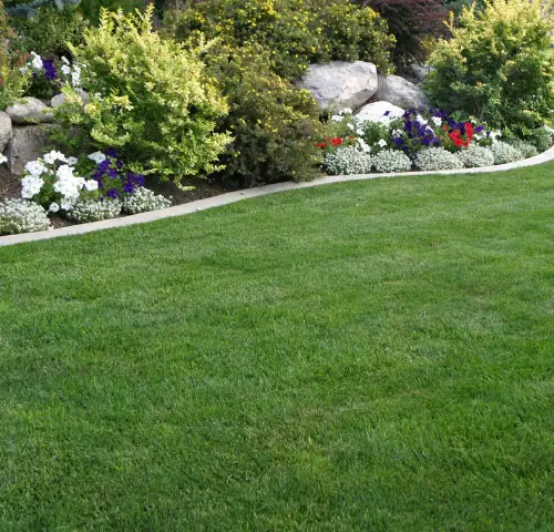 Party Lawn at North Park